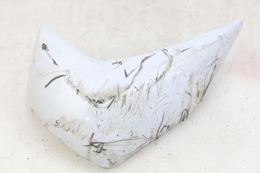 photo de RECHTER VORDERER SEITENWAND KAWASAKI Z 750 (2007 - 2013) - Hauptansicht