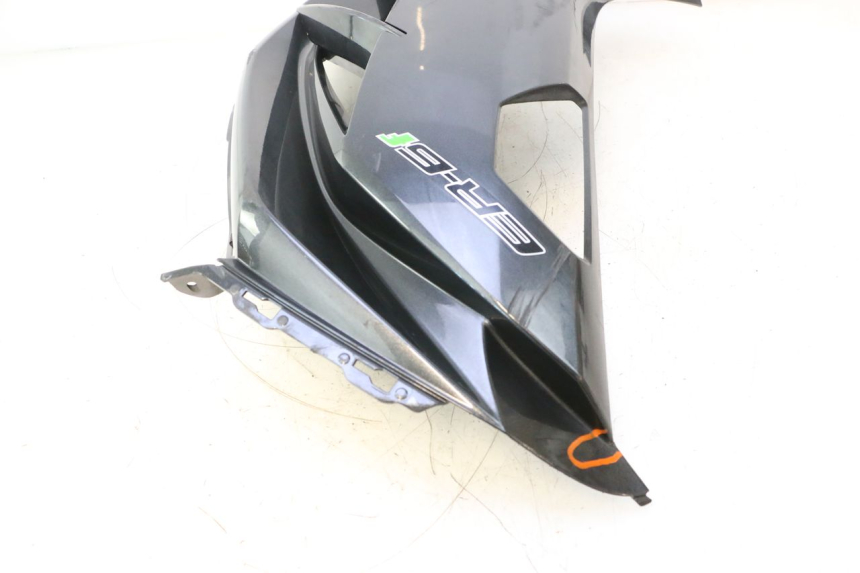 photo de VORDERER LINKER SEITENTEIL KAWASAKI ER-6 ER6 F ABS 650 (2012 - 2016) - Zoom auf Komponenten