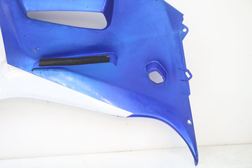 photo de FRONTVERKLEIDUNG LINKS SUZUKI GSX F GSXF 650 (2007 - 2015) - Hochauflösende Nahaufnahme
