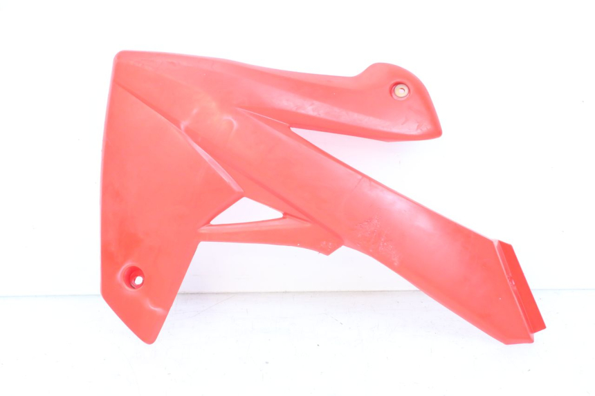 photo de FRONTVERKLEIDUNG LINKS RIEJU MRT 50 (2018 - 2021) - Hauptansicht