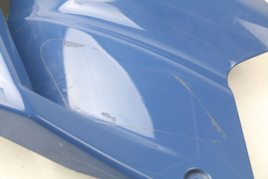 photo de FRONTVERKLEIDUNG LINKS YAMAHA TDM ABS 900 (2002 - 2014) - Details der Befestigungspunkte