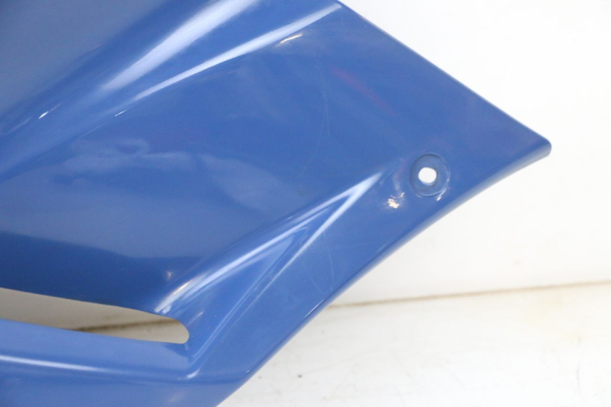 photo de VORDERER LINKER SEITENFLANSH YAMAHA TDM ABS 900 (2002 - 2014) - Hochauflösende Nahaufnahme