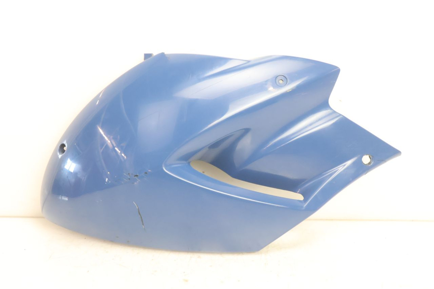 photo de VORDERER LINKER SEITENFLANSH YAMAHA TDM ABS 900 (2002 - 2014) - Hauptansicht