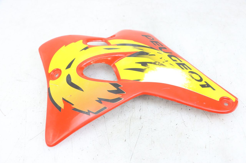 photo de LINKS VORDERES SEITENTEIL PEUGEOT XP6 50 (1997 - 2003) - Zoom auf Gebrauchszustand