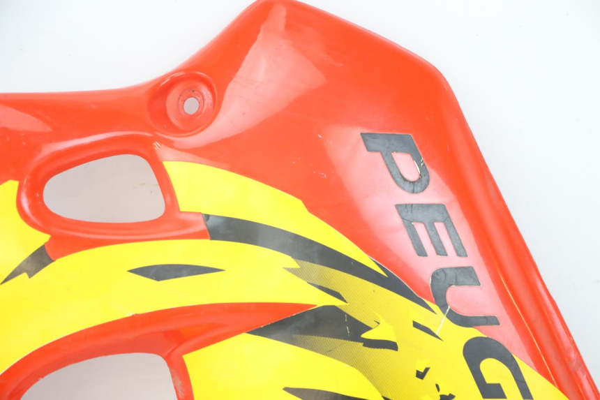 photo de LINKS VORDERES SEITENTEIL PEUGEOT XP6 50 (1997 - 2003) - Oberflächenzustand und Material