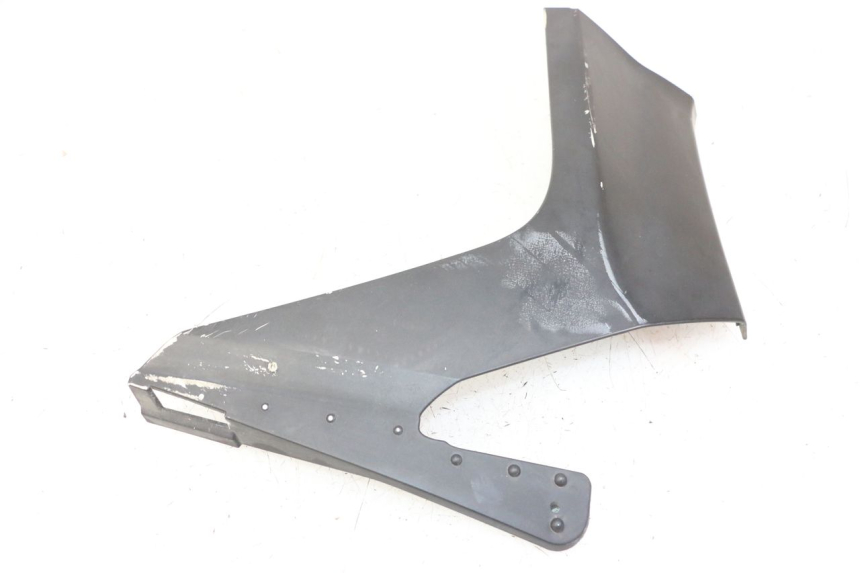 photo de FRONTVERKLEIDUNG LINKS YAMAHA X-MAX XMAX ABS 250 (2010 - 2014) - Gesamtansicht des Produkts