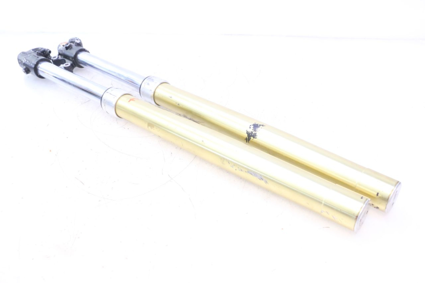 photo de STANDROHR HM HONDA DERAPAGE 50 (2007 - 2009) - Hauptansicht