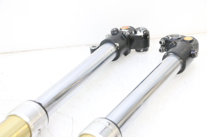 photo de STANDROHR HM HONDA DERAPAGE 50 (2007 - 2009) - Fokus auf die Struktur