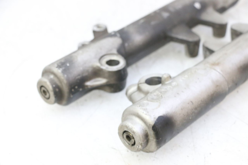 photo de STANDROHR PEUGEOT ELYSTAR 50 (2002 - 2014) - Alternative Perspektive