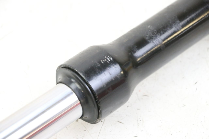 photo de STANDROHR LINK PEUGEOT TWEET 4T 50 (2023 - 2025) - Technische Nahaufnahme