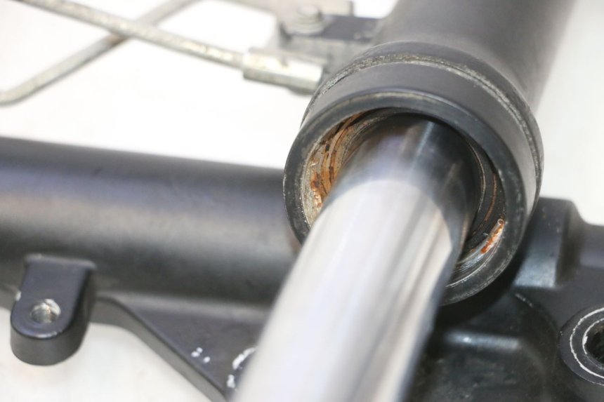 photo de STANDROHR JM MOTORS OLDIES 4T 50 (2010 - 2020) - Detailansicht des Bauteils