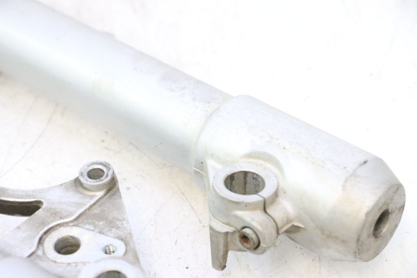 photo de STANDROHR PEUGEOT SATELIS 125 (2013 - 2018) - Oberflächenzustand und Material