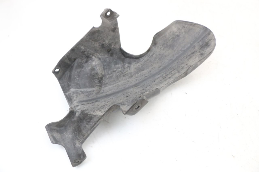 photo de KOTFLÜGEL HINTEN LONGJIA EASY MAX 125 (2020 - 2024) - Alternative Perspektive