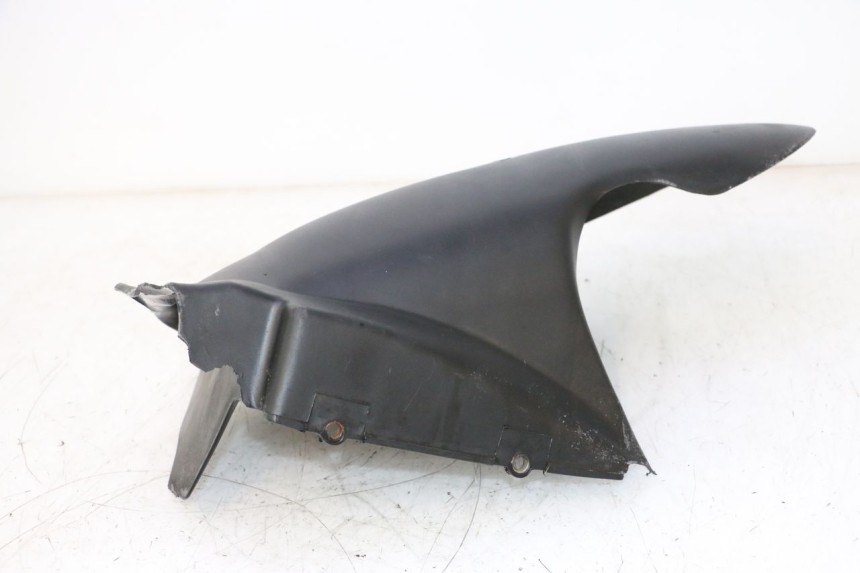 photo de KOTFLÜGEL HINTEN KEEWAY F-ACT NAKED 50 (2009 - 2014) - Alternative Perspektive