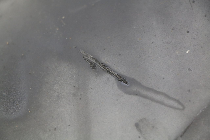 photo de HINTERER KOTFLüGEL HONDA FORZA 125 (2015 - 2016) - Detailansicht des Bauteils