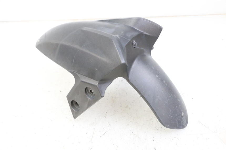 photo de VORDERRADKOTFLüGEL JM MOTORS EVOLIS 4T 50 (2018 - 2022) - Alternative Perspektive