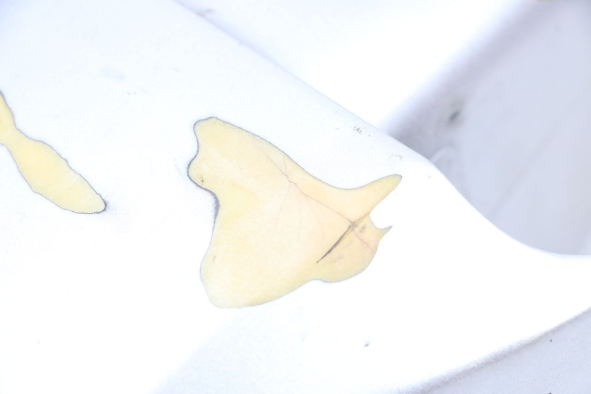 photo de Vorderradkotflügel HYOSUNG GF 125 (2001 - 2005) - Zoom auf Gebrauchszustand