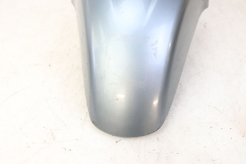 photo de KOTFLÜGEL VORNE DAELIM HISTORY 125 (2001 - 2002) - Charakteristische Merkmale