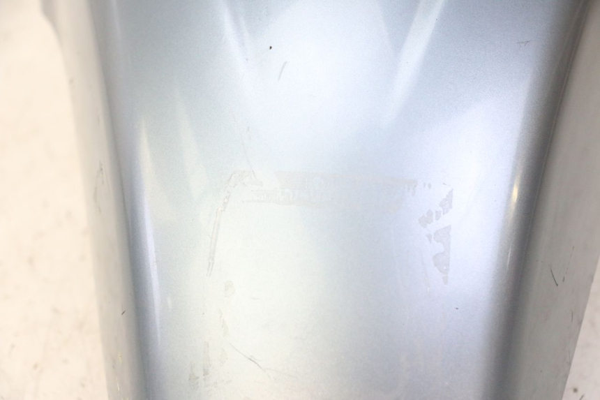 photo de KOTFLÜGEL VORNE DAELIM HISTORY 125 (2001 - 2002) - Zoom auf Komponenten