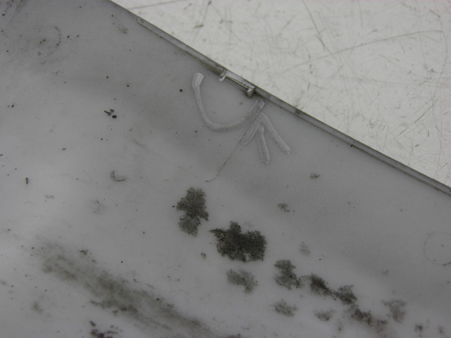 photo de KOTFLÜGEL VORNE YAMASAKI YM50QT-N3 RETRO 50 (2012 - 2014) - Detailansicht des Bauteils