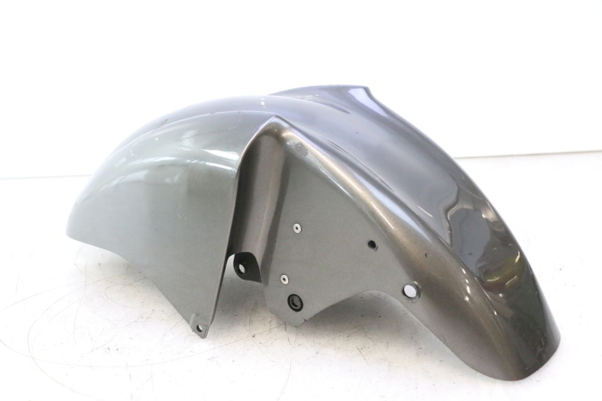 photo de KOTFLÜGEL VORNE KAWASAKI ZZR 600 (1995 - 2004) - Alternative Perspektive