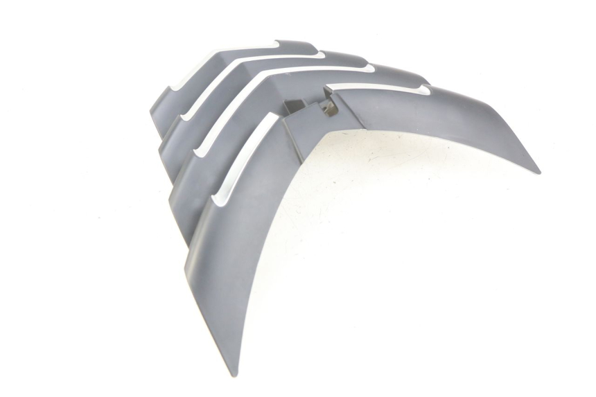 photo de KÜHLERGRILL PEUGEOT CITYSTAR 125 (2011 - 2017) - Zoom auf Gebrauchszustand