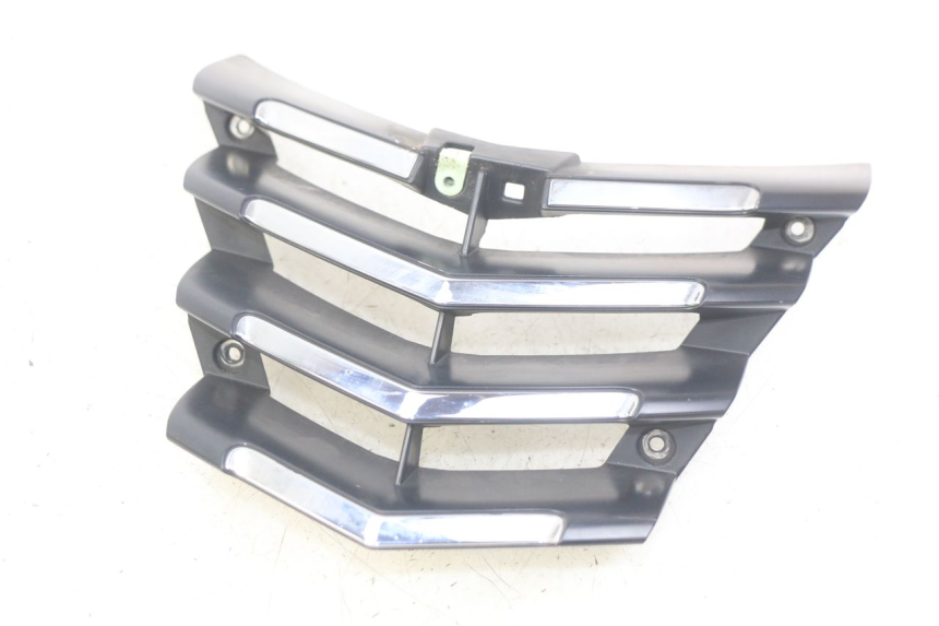 photo de KÜHLERGRILL PEUGEOT CITYSTAR 125 (2011 - 2017) - Hauptansicht