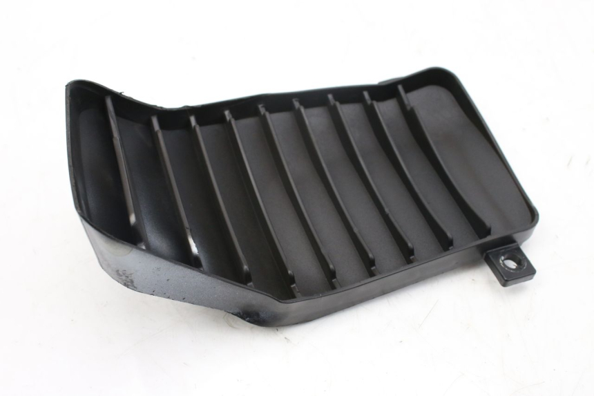 photo de LINKE KÜHLERGRILL PIAGGIO VESPA GTS IGET ABS 125 (2017 - 2023) - Gesamtansicht des Produkts