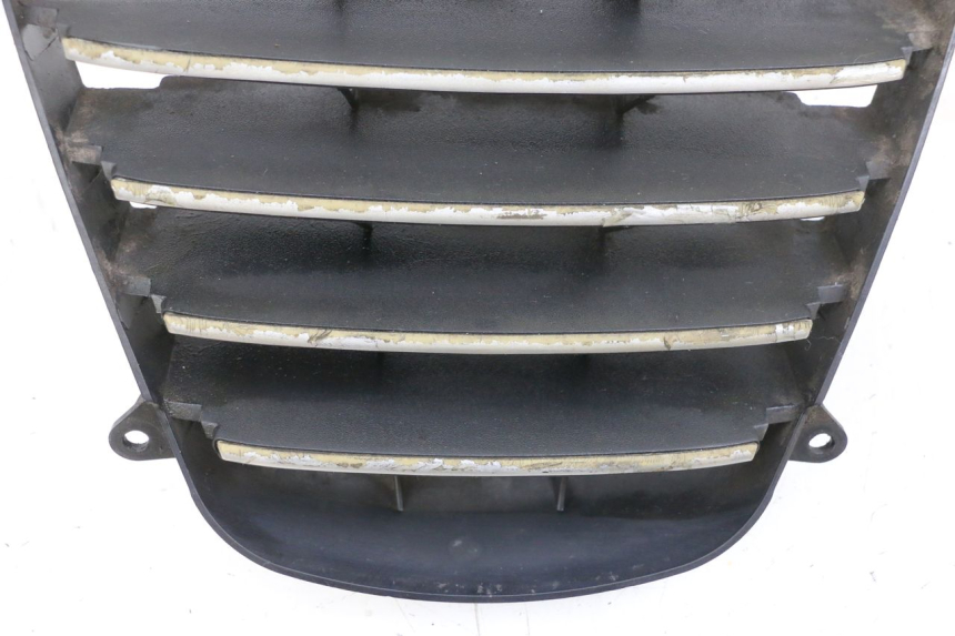 photo de KÜHLERGRILL PIAGGIO MP3 125 (2006 - 2014) - Detailansicht des Bauteils