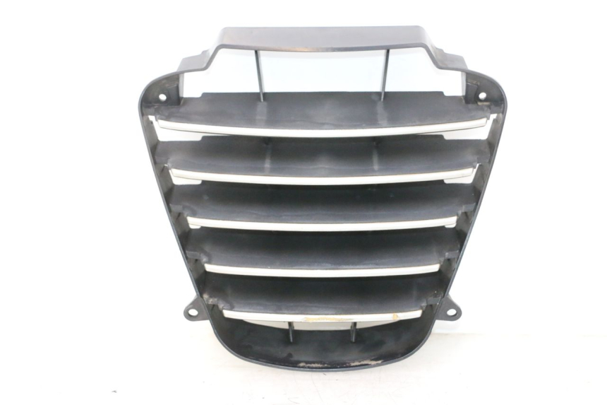 photo de KÜHLERGRILL PIAGGIO MP3 125 (2006 - 2014) - Hauptansicht