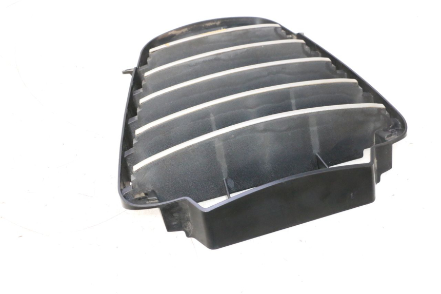 photo de KÜHLERGRILL PIAGGIO MP3 125 (2006 - 2014) - Gesamtansicht des Produkts