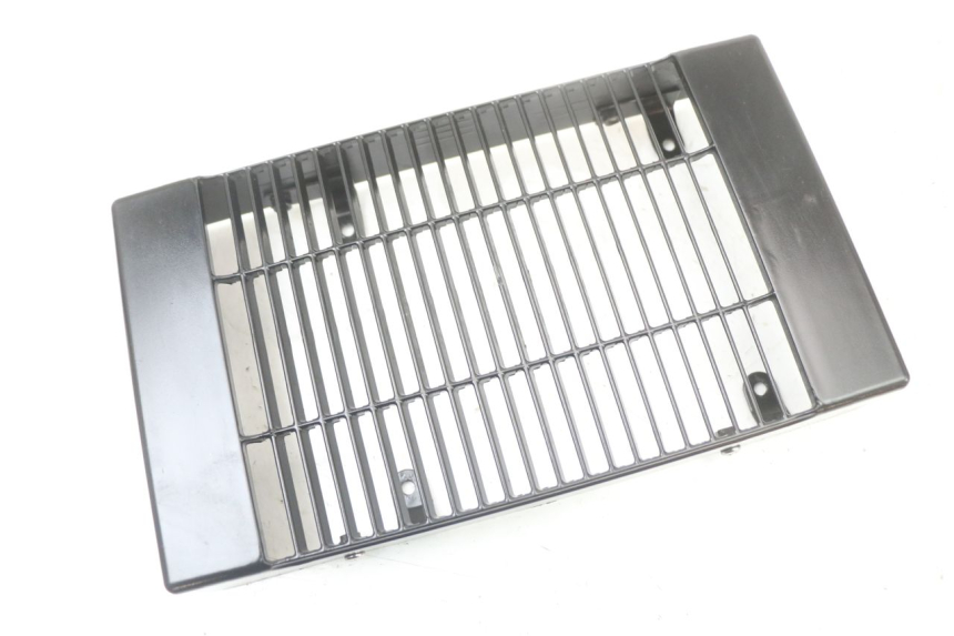 photo de KÃœHLER VERKLEIDUNG REGAL RAPTOR SPYDER 125 (2010 - 2018) - Zoom auf Gebrauchszustand