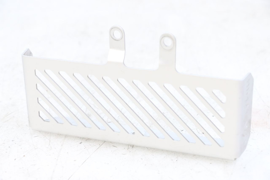 photo de KÃœHLER VERKLEIDUNG ROYAL ENFIELD HYMALAYAN 410 (2016 - 2023) - Hauptansicht