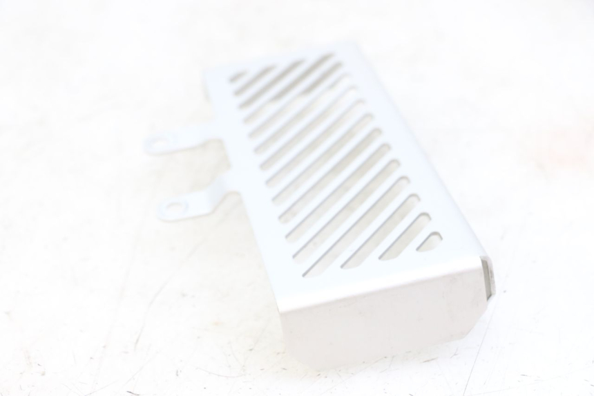 photo de KÃœHLER VERKLEIDUNG ROYAL ENFIELD HYMALAYAN 410 (2016 - 2023) - Alternative Perspektive