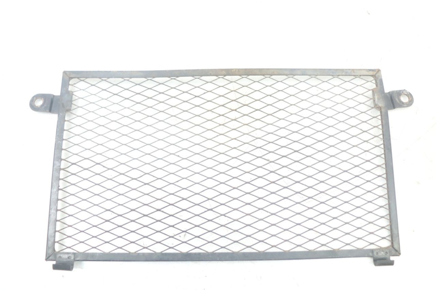 photo de KÜHLERGRILL YAMAHA TDM ABS 900 (2002 - 2014) - Hauptansicht