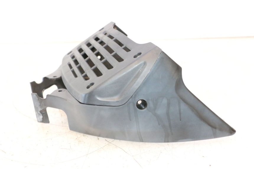 photo de KÃœHLER VERKLEIDUNG DAELIM VJ ROADWIN 125 (2004 - 2007) - Zoom auf Gebrauchszustand