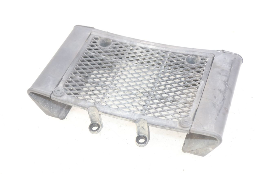 photo de KÜHLERGRILL DAELIM VL DAYSTAR 125 (2000 - 2011) - Alternative Perspektive