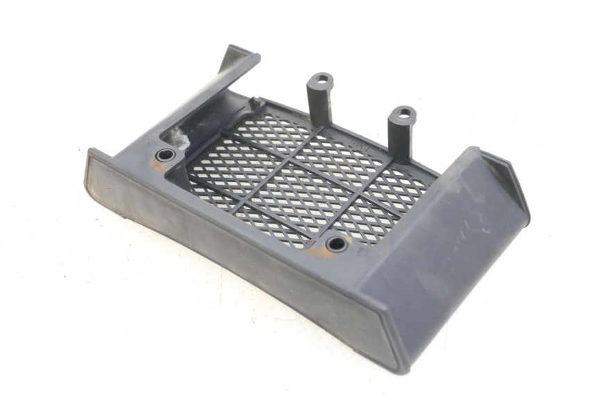 photo de KÜHLERGRILL DAELIM VL DAYSTAR 125 (2000 - 2011) - Zoom auf Gebrauchszustand