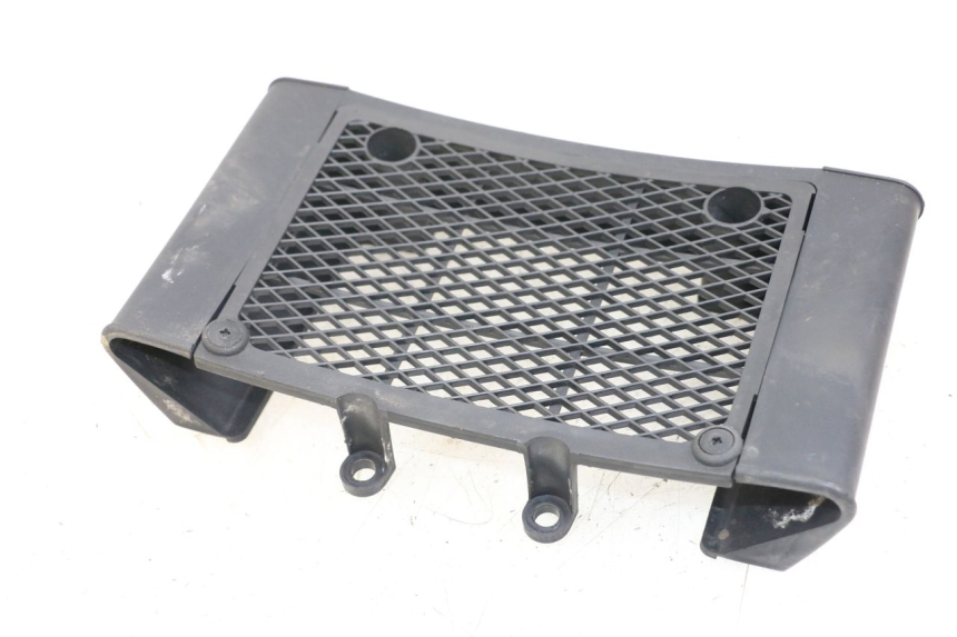 photo de KÜHLERGRILL DAELIM VL DAYSTAR 125 (2000 - 2011) - Alternative Perspektive