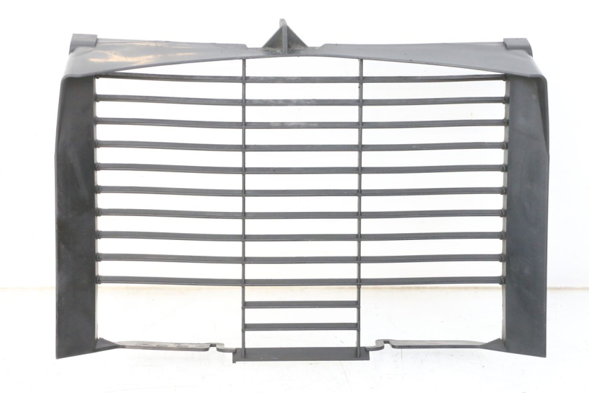 photo de KÃœHLER VERKLEIDUNG YAMAHA XJ6 600 (2008 - 2016) - Hauptansicht