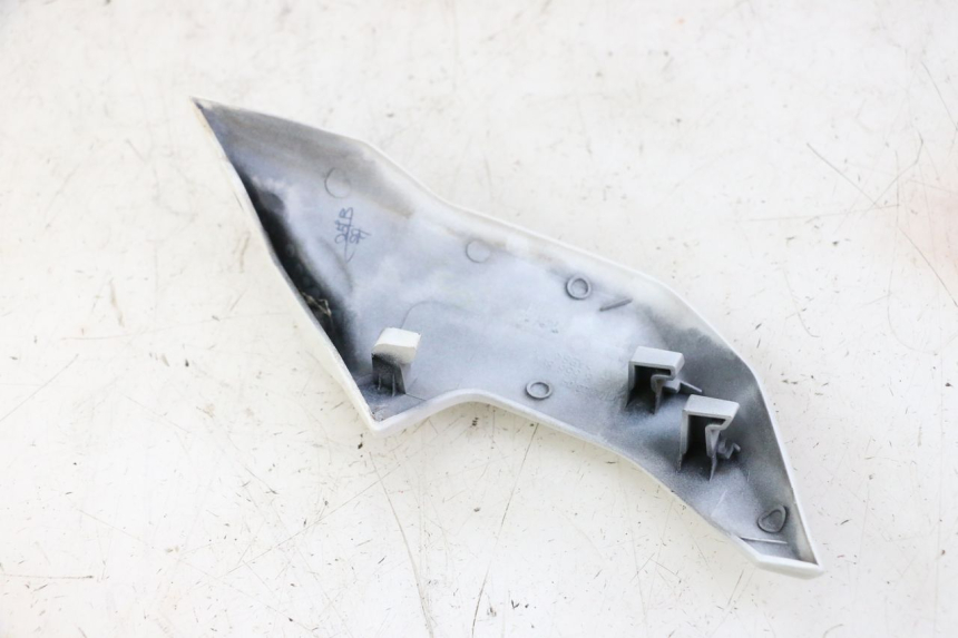 photo de KANZEL INNENVERKLEIDUNG RECHTS BMW G310 R 310 (2016 - 2020) - Zoom auf Gebrauchszustand