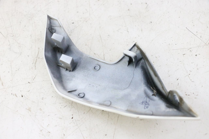 photo de KANZEL INNENVERKLEIDUNG RECHTS BMW G310 R 310 (2016 - 2020) - Alternative Perspektive