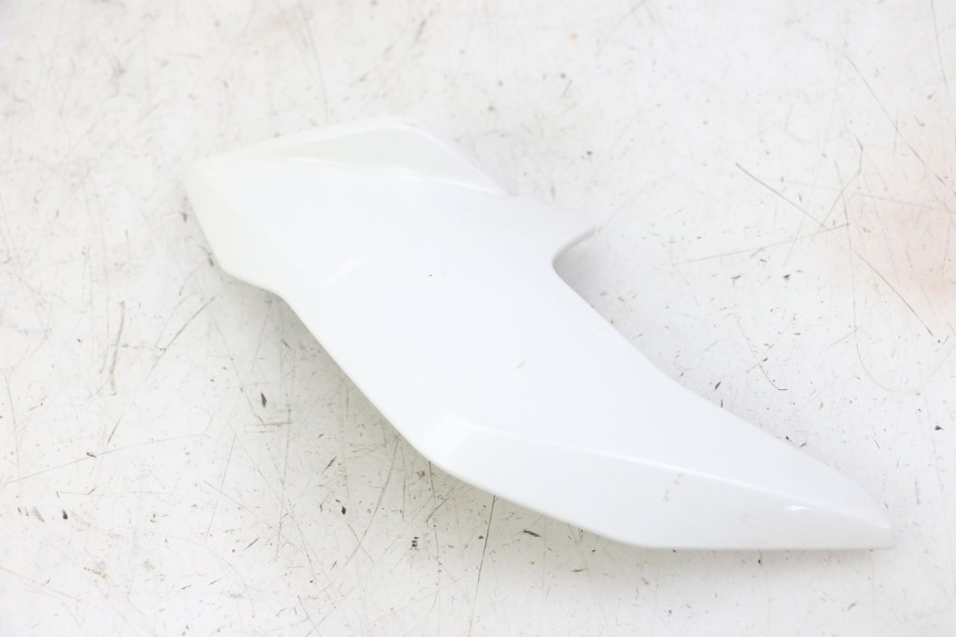 photo de KANZEL INNENVERKLEIDUNG RECHTS BMW G310 R 310 (2016 - 2020) - Gesamtansicht des Produkts