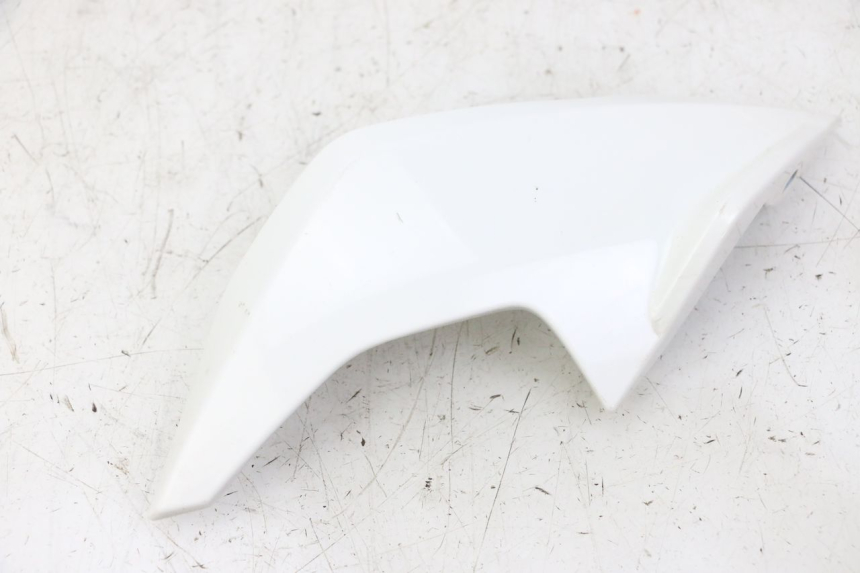 photo de KANZEL INNENVERKLEIDUNG RECHTS BMW G310 R 310 (2016 - 2020) - Details der Befestigungspunkte