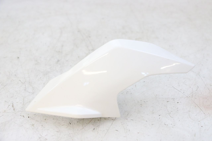 photo de KANZEL INNENVERKLEIDUNG LINKS BMW G310 R 310 (2016 - 2020) - Hauptansicht