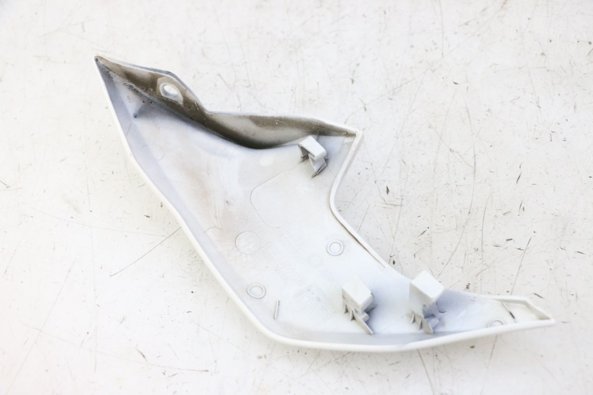 photo de KANZEL INNENVERKLEIDUNG LINKS BMW G310 R 310 (2016 - 2020) - Zoom auf Gebrauchszustand