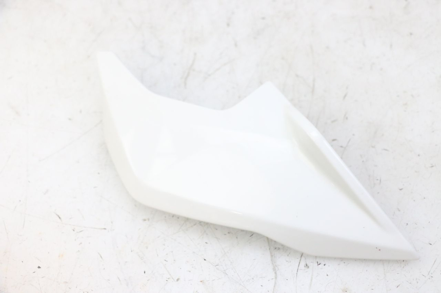 photo de KANZEL INNENVERKLEIDUNG LINKS BMW G310 R 310 (2016 - 2020) - Details der Befestigungspunkte