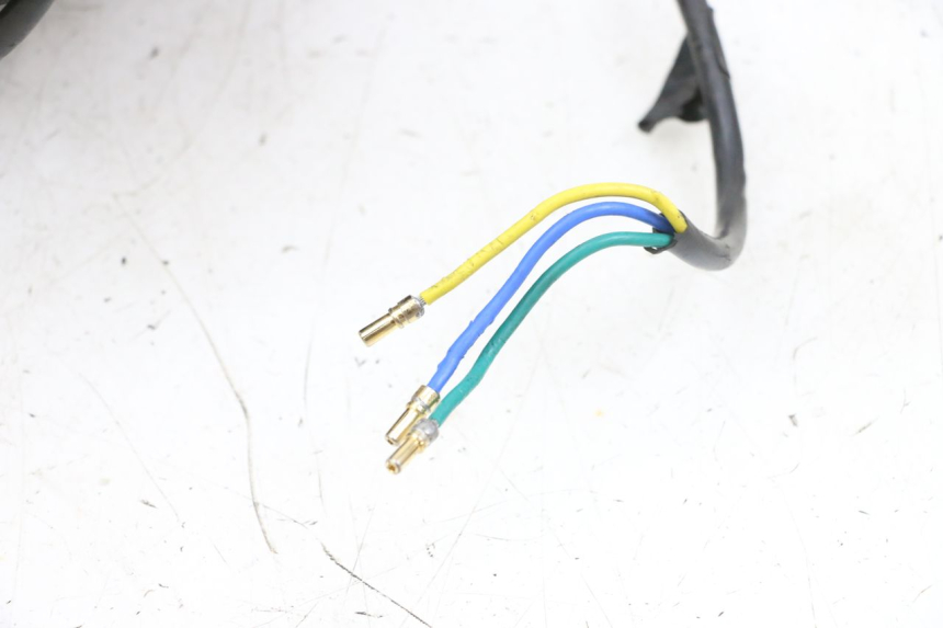 photo de VORDERRAD UND REIFEN DUALTRON VICTOR LIMITED 1 - Hochauflösende Nahaufnahme