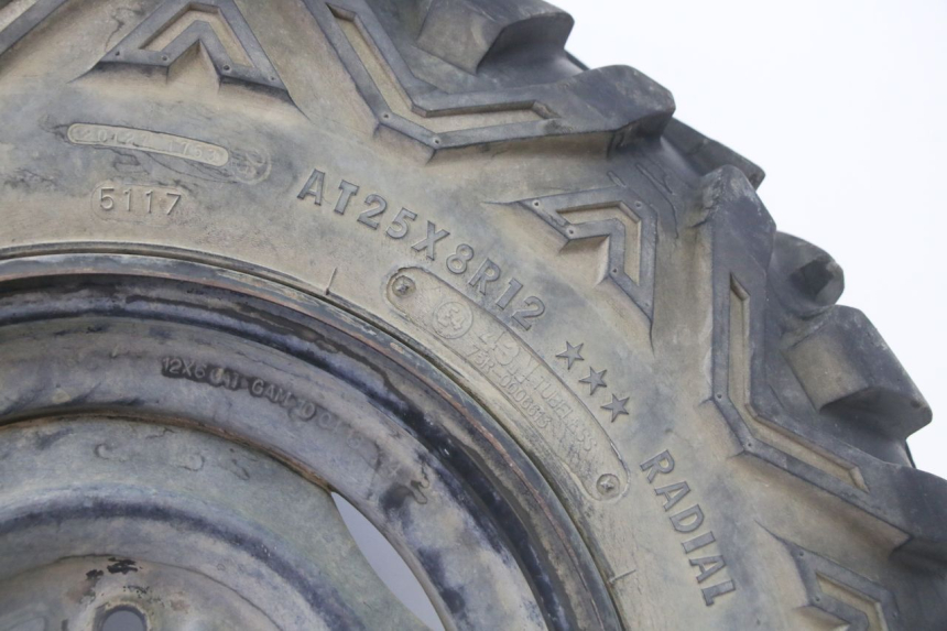 photo de VORDERRADFELGE UND REIFEN YAMAHA YFM GRIZZLY 550 (2008 - 2015) - Alternative Perspektive