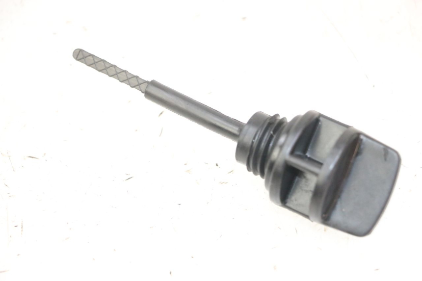 photo de ÖL MOTOR GEBER DAELIM BESBI 125 (2007 - 2008) - Detailansicht des Bauteils